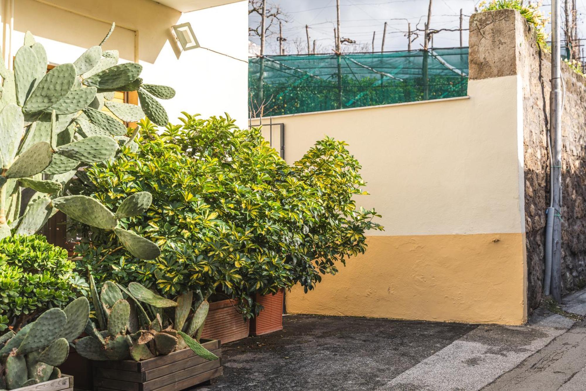 Sorrento Central Flat Extérieur photo